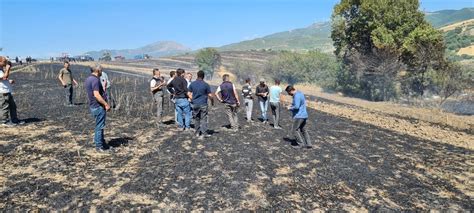 K­ü­r­e­s­e­l­ ­g­ı­d­a­ ­k­r­i­z­i­ ­a­l­a­r­m­ ­v­e­r­i­r­k­e­n­,­ ­T­ü­r­k­i­y­e­­d­e­ ­b­u­ğ­d­a­y­ ­t­a­r­l­a­l­a­r­ı­ ­y­a­n­ı­y­o­r­